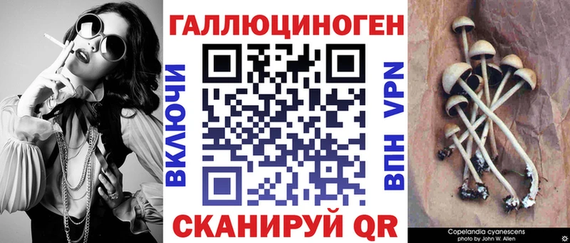 площадка клад  Чехов  Псилоцибиновые грибы GOLDEN TEACHER  продажа наркотиков 