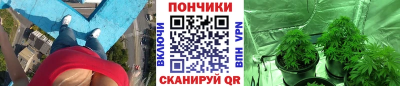 Марихуана MAZAR Чехов
